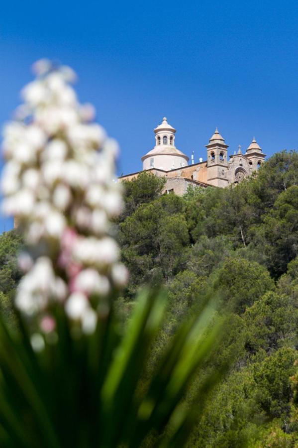 Holiday home Charming House In Petra With Garden And Shared Pool Petra (Mallorca)