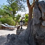 Charming House In Petra With Garden And Shared Pool