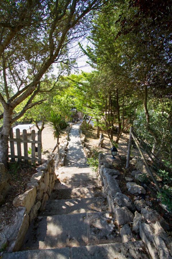 Ferienhaus Charming House In Petra With Garden And Shared Pool